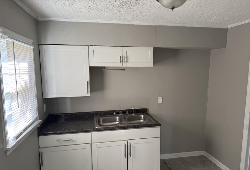 Kitchenette featuring white cabinetry with silver-tone hardware, dark speckled countertop, stainless steel double basin sink with chrome faucet, and neutral gray walls