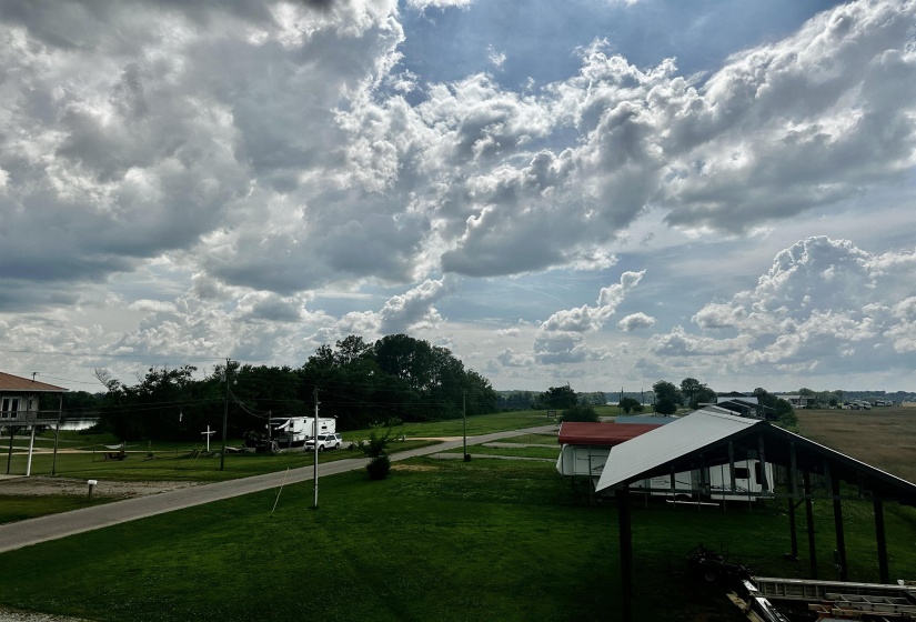 View of green lawn