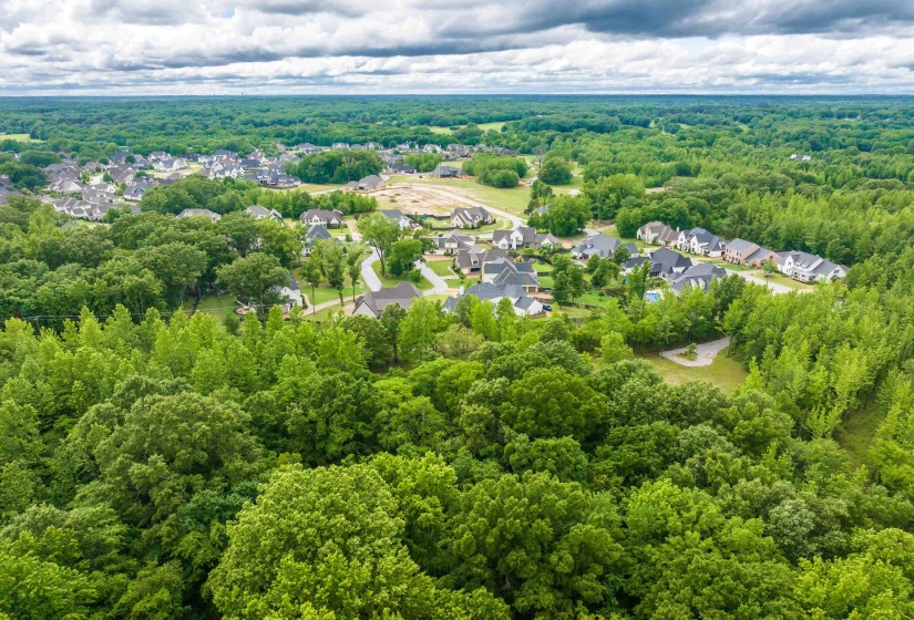 12800 MAGS LN, Collierville, Tennessee 38017, ,Land,For Sale,MAGS,10222296