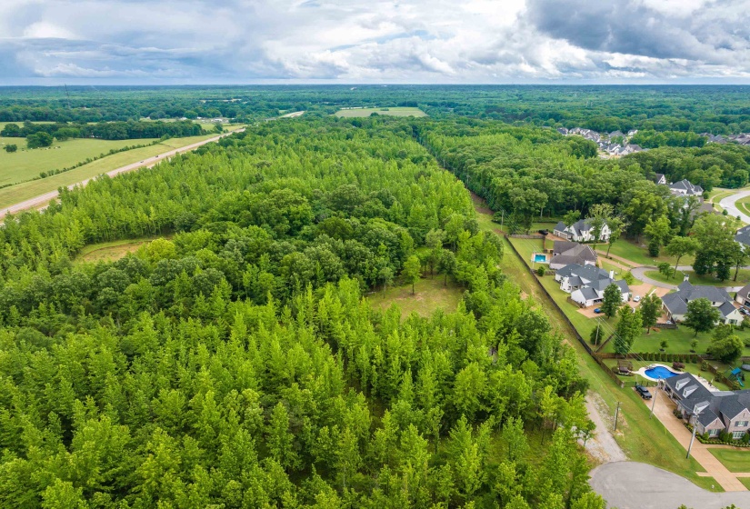 12800 MAGS LN, Collierville, Tennessee 38017, ,Land,For Sale,MAGS,10222296