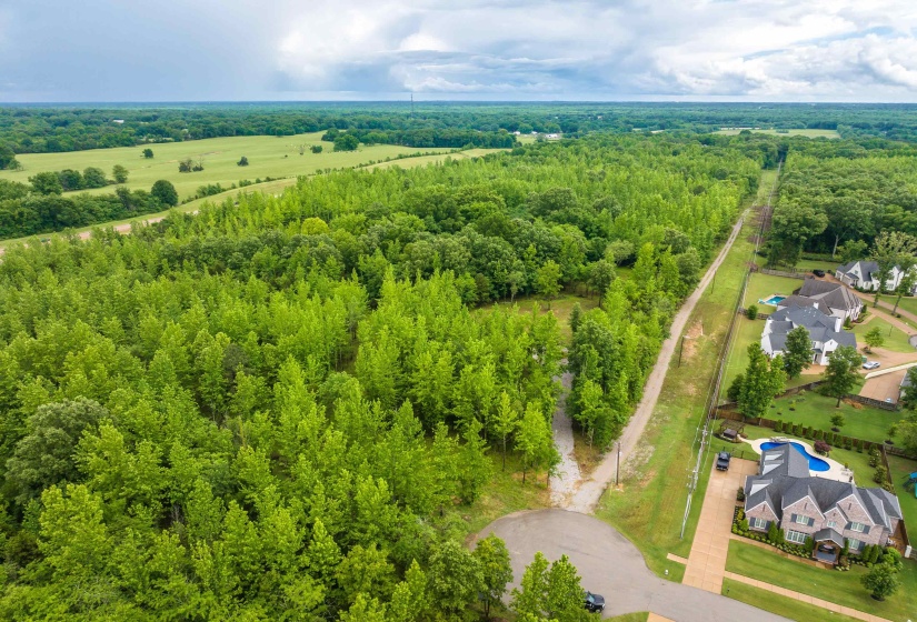 12800 MAGS LN, Collierville, Tennessee 38017, ,Land,For Sale,MAGS,10222296