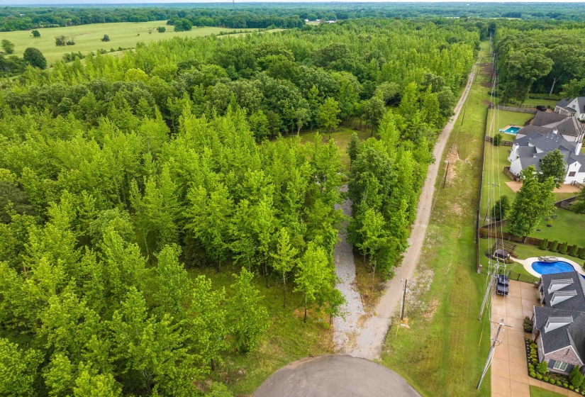 12800 MAGS LN, Collierville, Tennessee 38017, ,Land,For Sale,MAGS,10222296