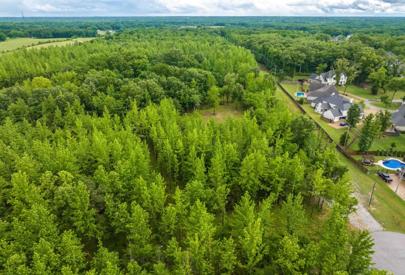 12800 MAGS LN, Collierville, Tennessee 38017, ,Land,For Sale,MAGS,10222296