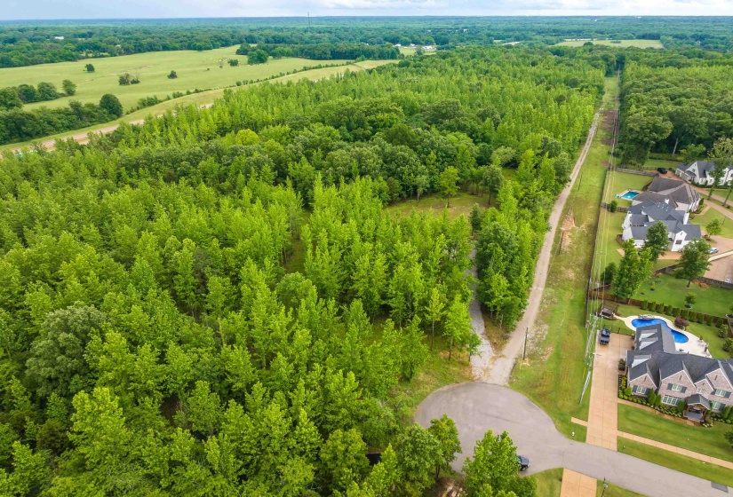 12800 MAGS LN, Collierville, Tennessee 38017, ,Land,For Sale,MAGS,10222296