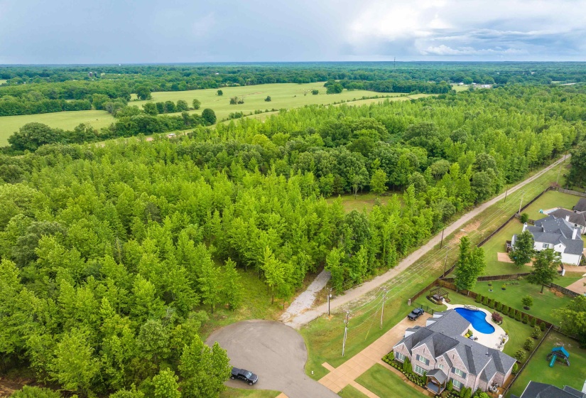 12800 MAGS LN, Collierville, Tennessee 38017, ,Land,For Sale,MAGS,10222296