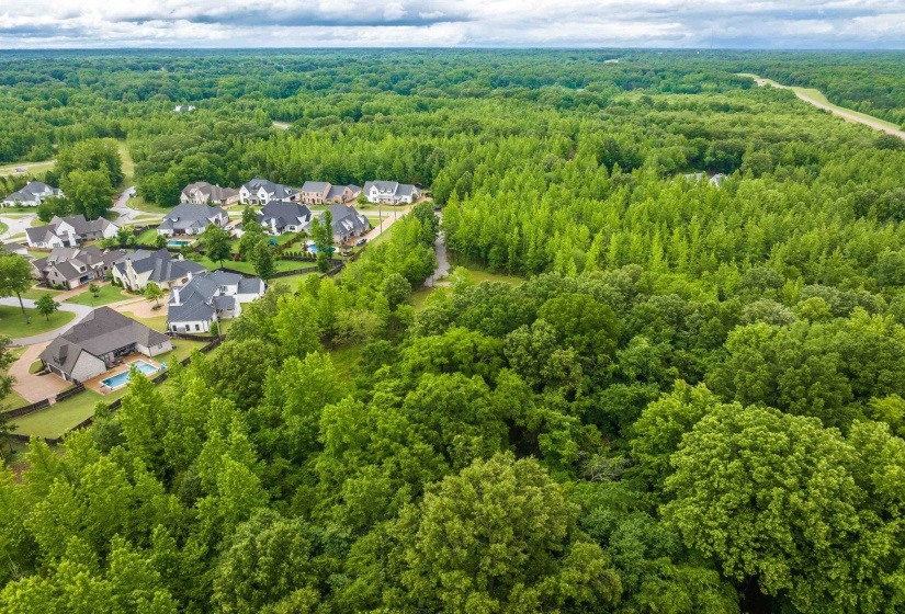 12800 MAGS LN, Collierville, Tennessee 38017, ,Land,For Sale,MAGS,10222296