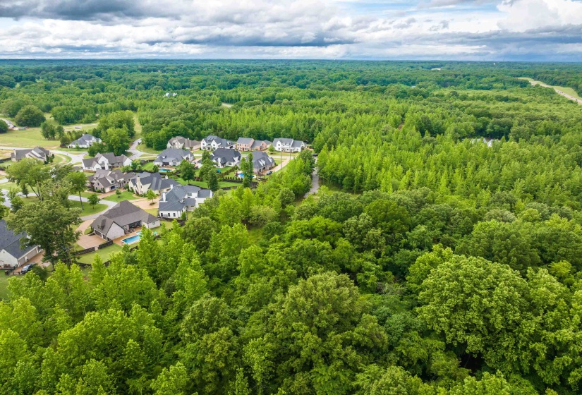 12800 MAGS LN, Collierville, Tennessee 38017, ,Land,For Sale,MAGS,10222296