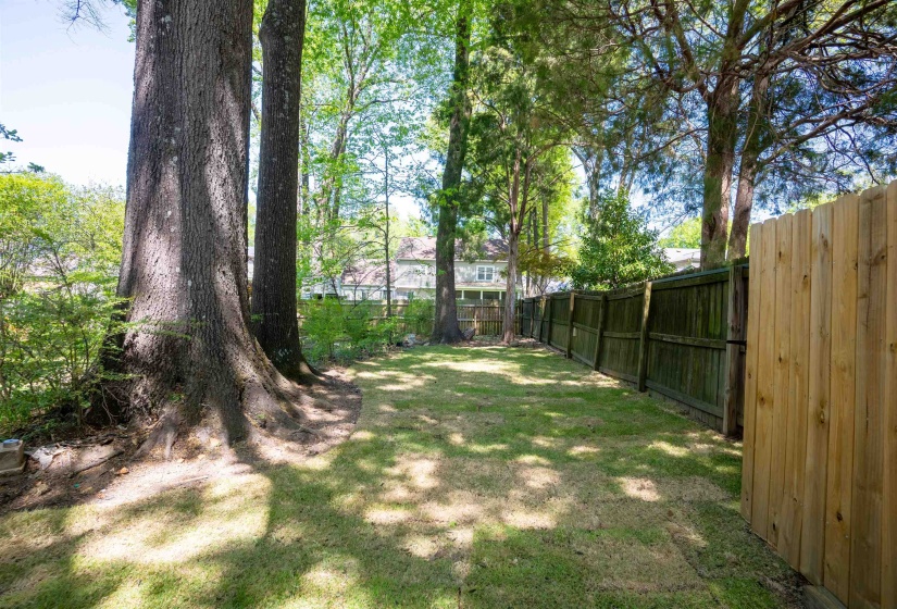 View of fenced backyard