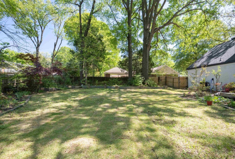 View of fenced backyard
