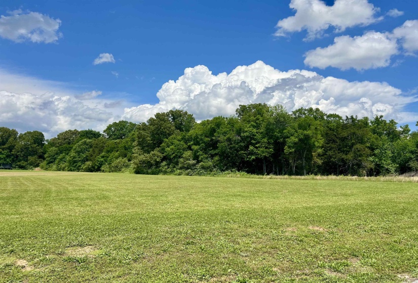 LOT 17 CORDOVA CV, Savannah, Tennessee 38372, 0 , 0 ,0,Land,For Sale,CORDOVA,0,10222315