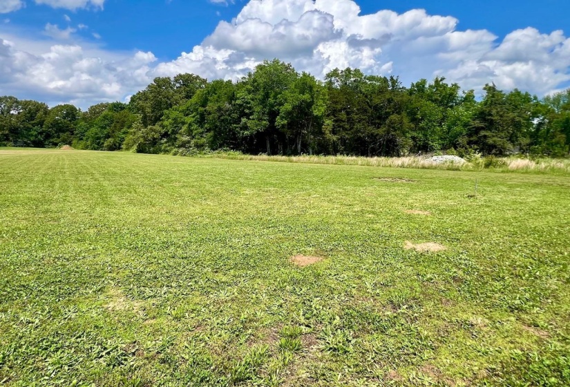 LOT 17 CORDOVA CV, Savannah, Tennessee 38372, 0 , 0 ,0,Land,For Sale,CORDOVA,0,10222315