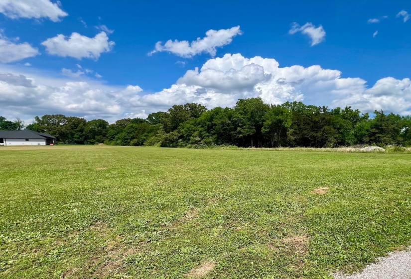 LOT 17 CORDOVA CV, Savannah, Tennessee 38372, 0 , 0 ,0,Land,For Sale,CORDOVA,0,10222315