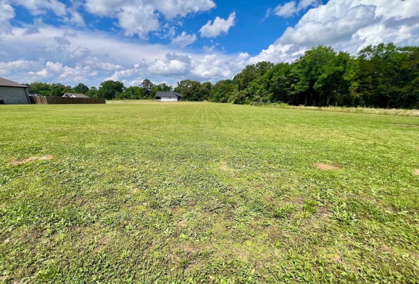 LOT 17 CORDOVA CV, Savannah, Tennessee 38372, 0 , 0 ,0,Land,For Sale,CORDOVA,0,10222315