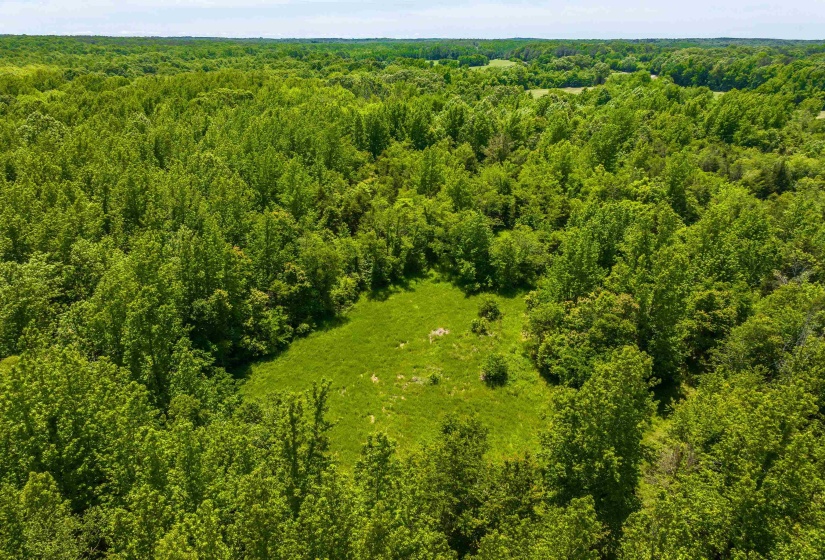 2340 CENTER HILL RD, Finger, Tennessee 38334, ,Land,For Sale,CENTER HILL,10222320
