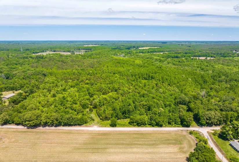 2340 CENTER HILL RD, Finger, Tennessee 38334, ,Land,For Sale,CENTER HILL,10222320