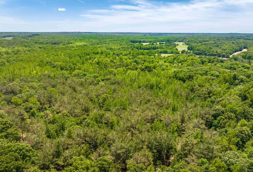 2340 CENTER HILL RD, Finger, Tennessee 38334, ,Land,For Sale,CENTER HILL,10222320