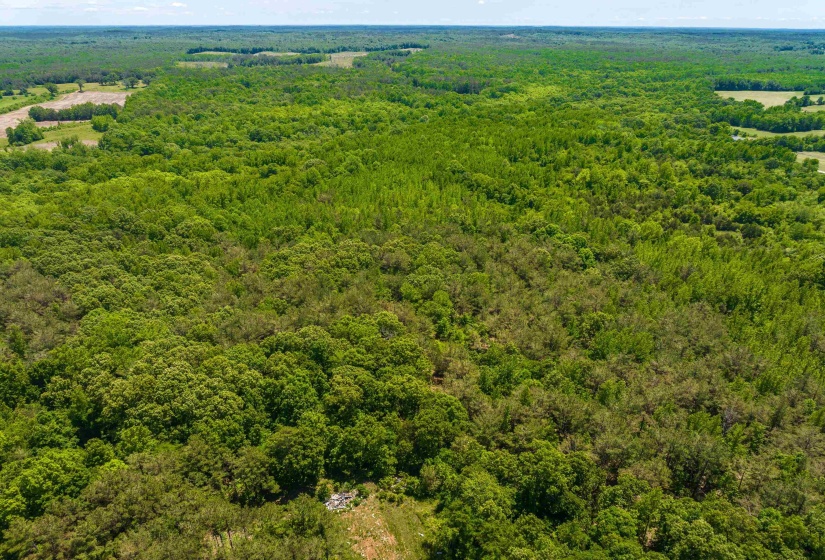 2340 CENTER HILL RD, Finger, Tennessee 38334, ,Land,For Sale,CENTER HILL,10222320