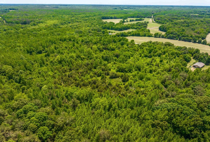 2340 CENTER HILL RD, Finger, Tennessee 38334, ,Land,For Sale,CENTER HILL,10222320