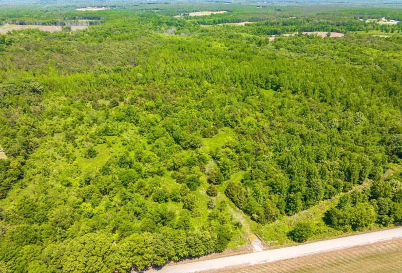2340 CENTER HILL RD, Finger, Tennessee 38334, ,Land,For Sale,CENTER HILL,10222320