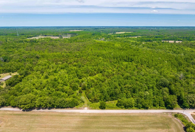 2340 CENTER HILL RD, Finger, Tennessee 38334, ,Land,For Sale,CENTER HILL,10222320