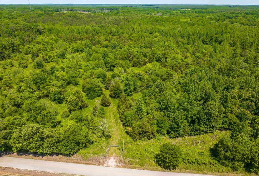 2340 CENTER HILL RD, Finger, Tennessee 38334, ,Land,For Sale,CENTER HILL,10222320