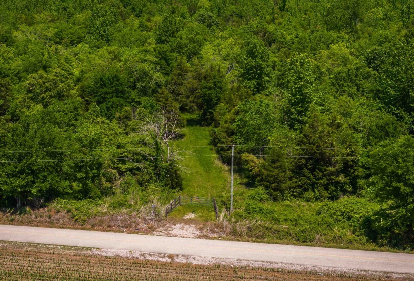 2340 CENTER HILL RD, Finger, Tennessee 38334, ,Land,For Sale,CENTER HILL,10222320