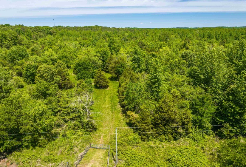 2340 CENTER HILL RD, Finger, Tennessee 38334, ,Land,For Sale,CENTER HILL,10222320