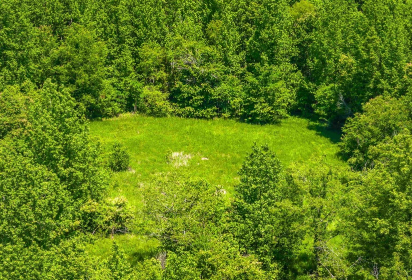 2340 CENTER HILL RD, Finger, Tennessee 38334, ,Land,For Sale,CENTER HILL,10222320