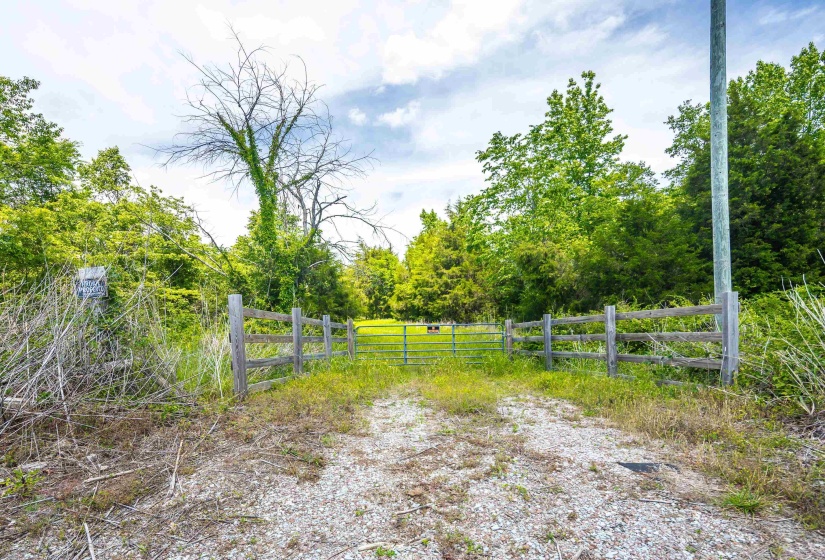 2340 CENTER HILL RD, Finger, Tennessee 38334, ,Land,For Sale,CENTER HILL,10222320