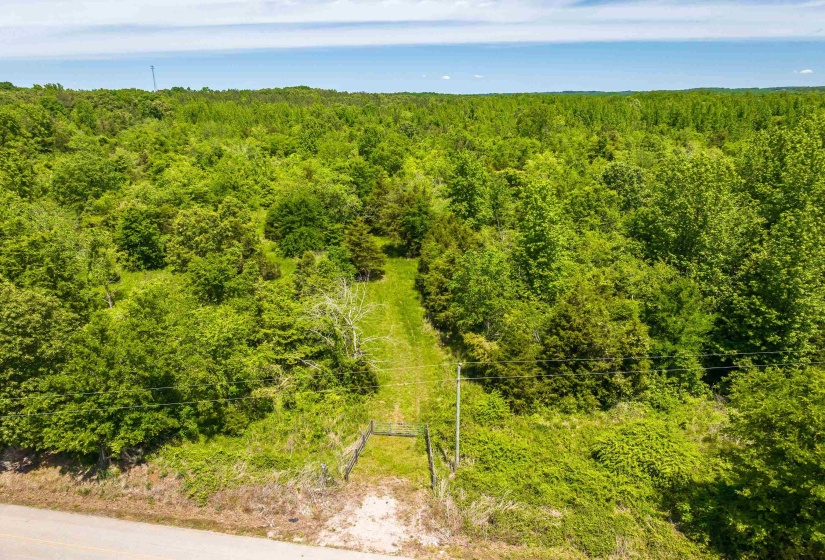 2340 CENTER HILL RD, Finger, Tennessee 38334, ,Land,For Sale,CENTER HILL,10222320