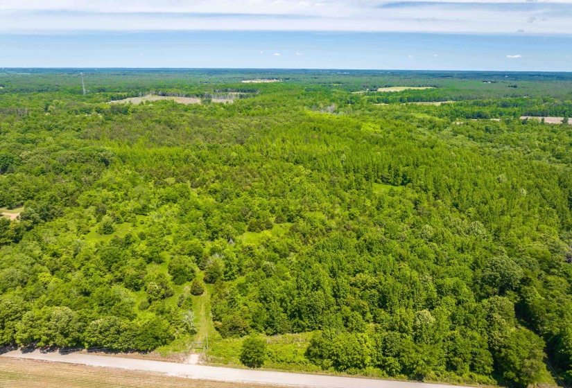 2340 CENTER HILL RD, Finger, Tennessee 38334, ,Land,For Sale,CENTER HILL,10222320