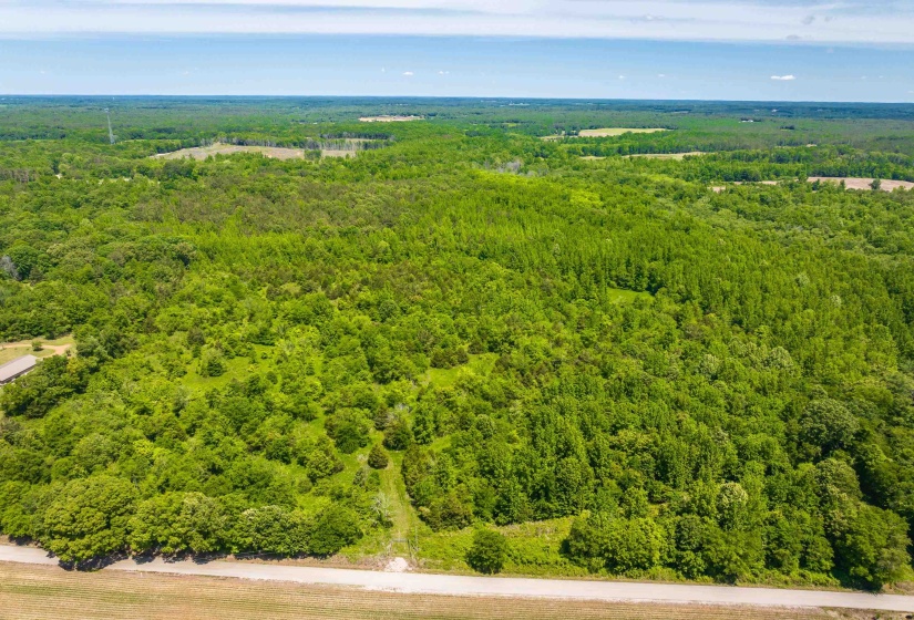 2340 CENTER HILL RD, Finger, Tennessee 38334, ,Land,For Sale,CENTER HILL,10222320