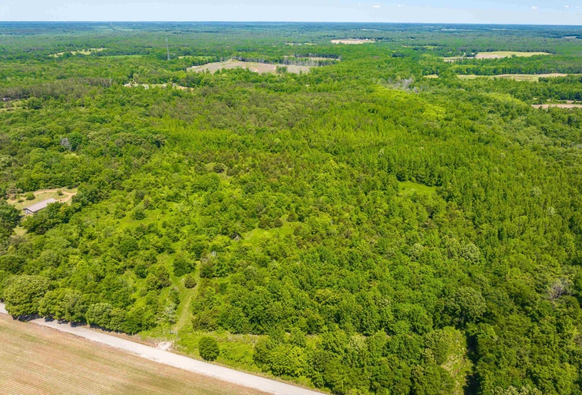 2340 CENTER HILL RD, Finger, Tennessee 38334, ,Land,For Sale,CENTER HILL,10222320
