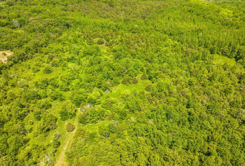 2340 CENTER HILL RD, Finger, Tennessee 38334, ,Land,For Sale,CENTER HILL,10222320