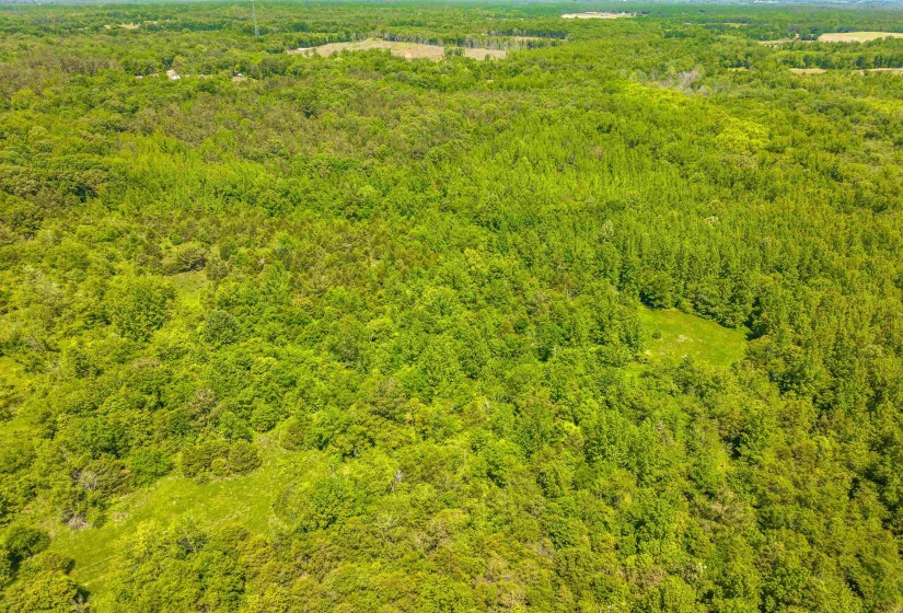 2340 CENTER HILL RD, Finger, Tennessee 38334, ,Land,For Sale,CENTER HILL,10222320