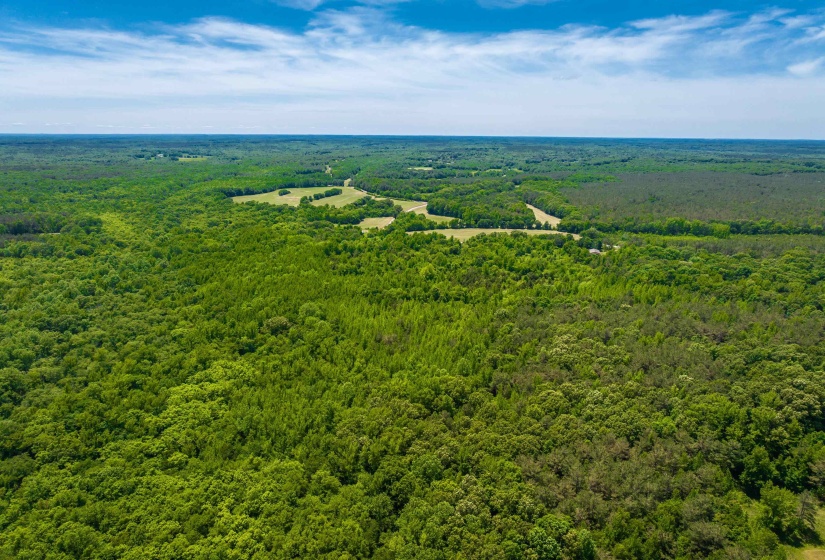 2340 CENTER HILL RD, Finger, Tennessee 38334, ,Land,For Sale,CENTER HILL,10222320