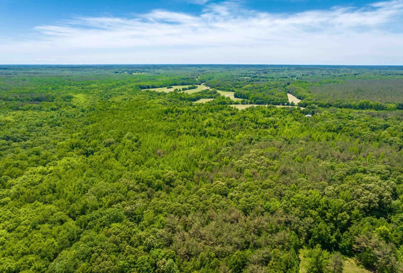 2340 CENTER HILL RD, Finger, Tennessee 38334, ,Land,For Sale,CENTER HILL,10222320