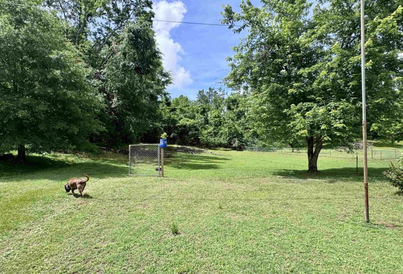 Expansive green lawn with mature trees providing natural shading
