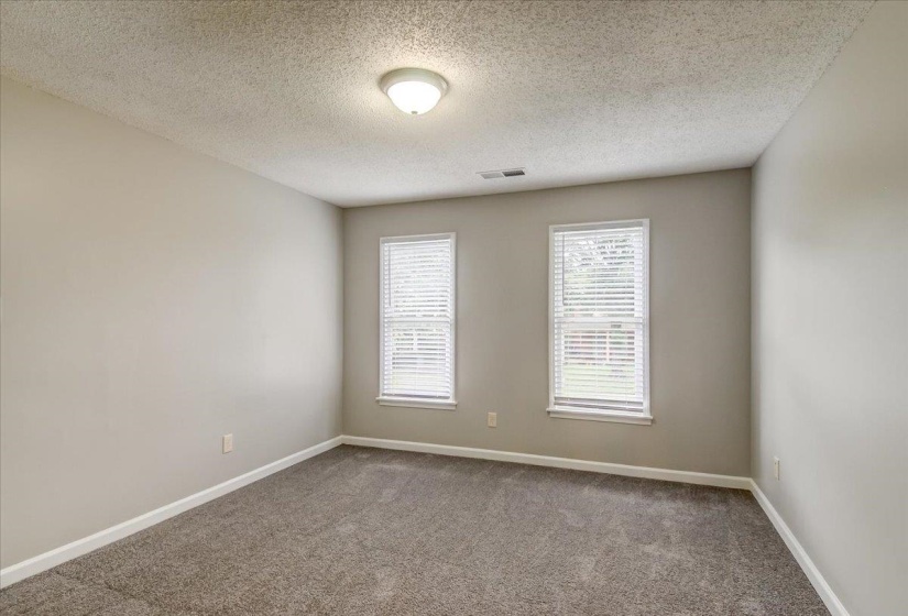 Neutral-toned room featuring a textured ceiling, two double-hung windows with blinds, a flush-mount ceiling light fixture, and plush carpet flooring
