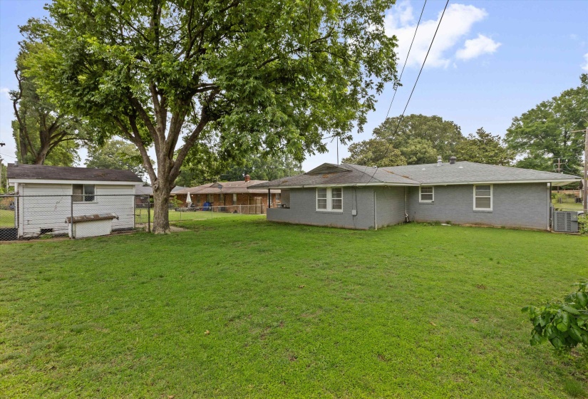 Expansive green lawn featuring a mature tree providing shade