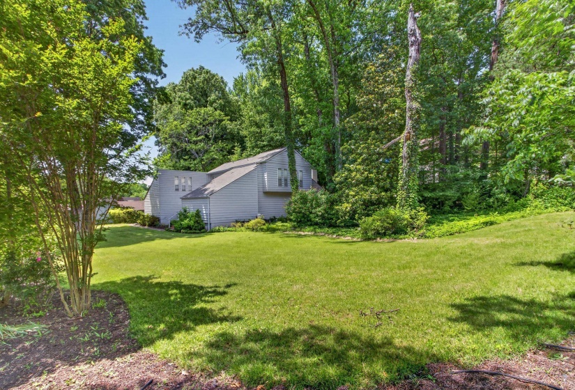 The north facing side yard shows the true expansiveness of the 0.56 acre lot.