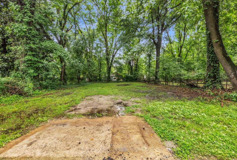 Expansive lot with mature trees and dense foliage providing natural surroundings