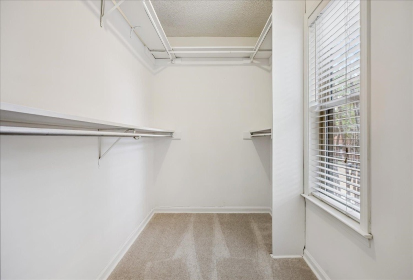 Spacious walk-in closet featuring light-colored carpeting, multiple shelving units, and a window with blinds