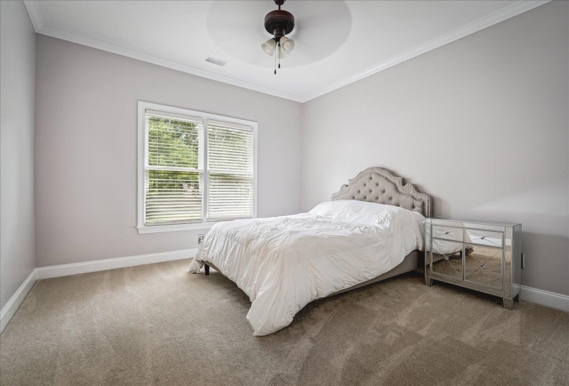 Carpeted room featuring a large window with blinds, ceiling fan with light fixture, tray ceiling, and crown molding