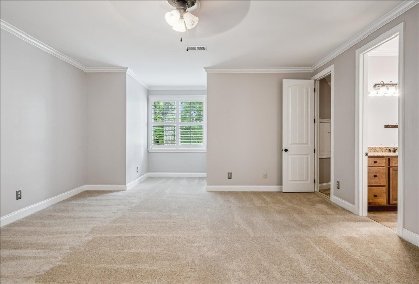 Carpeted room featuring crown molding, a ceiling fan, and a window with plantation shutters