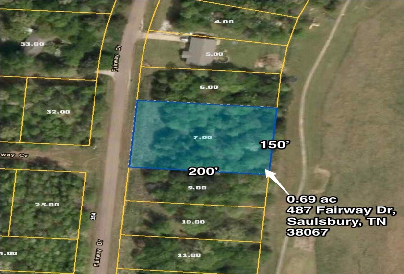 487 FAIRWAY DR, Saulsbury, Tennessee 38067, ,Land,For Sale,FAIRWAY,10222354