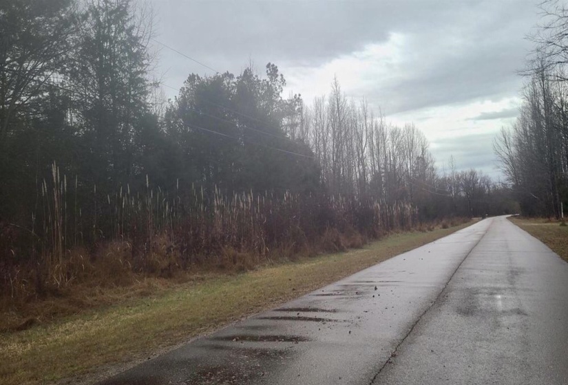 487 FAIRWAY DR, Saulsbury, Tennessee 38067, ,Land,For Sale,FAIRWAY,10222354
