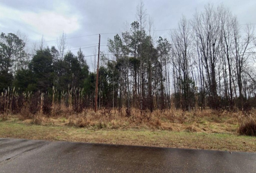 487 FAIRWAY DR, Saulsbury, Tennessee 38067, ,Land,For Sale,FAIRWAY,10222354