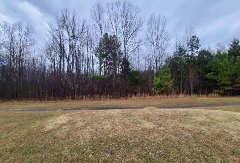 487 FAIRWAY DR, Saulsbury, Tennessee 38067, ,Land,For Sale,FAIRWAY,10222354