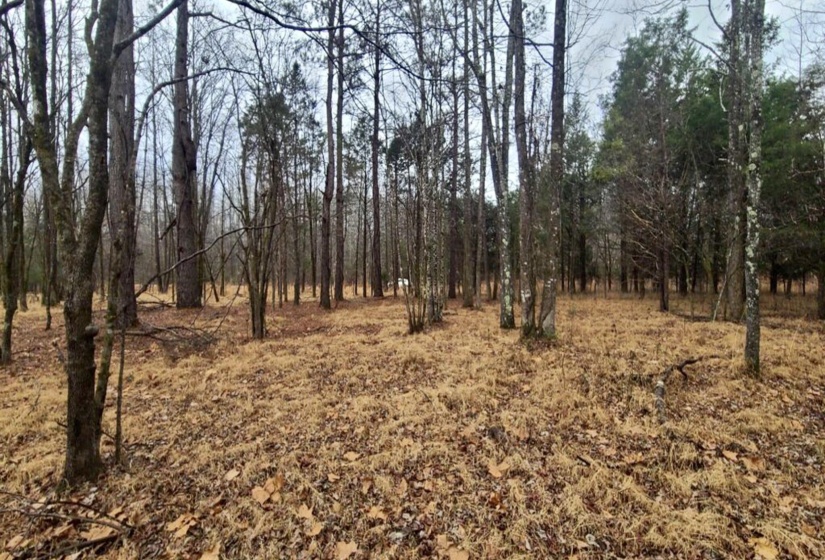 487 FAIRWAY DR, Saulsbury, Tennessee 38067, ,Land,For Sale,FAIRWAY,10222354